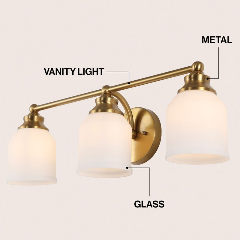 Lydia Iron/Frosted Glass Farmhouse Cottage LED Vanity Light