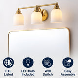 Lydia Iron/Frosted Glass Farmhouse Cottage LED Vanity Light