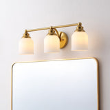 Lydia Iron/Frosted Glass Farmhouse Cottage LED Vanity Light