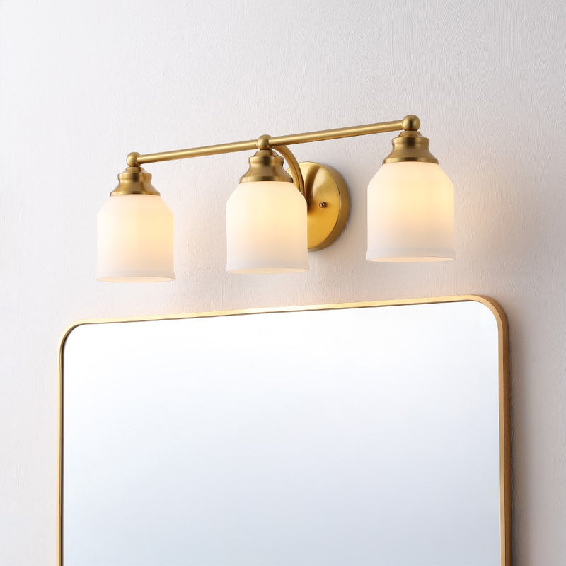 Lydia Iron/Frosted Glass Farmhouse Cottage LED Vanity Light