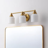 Lydia Iron/Frosted Glass Farmhouse Cottage LED Vanity Light