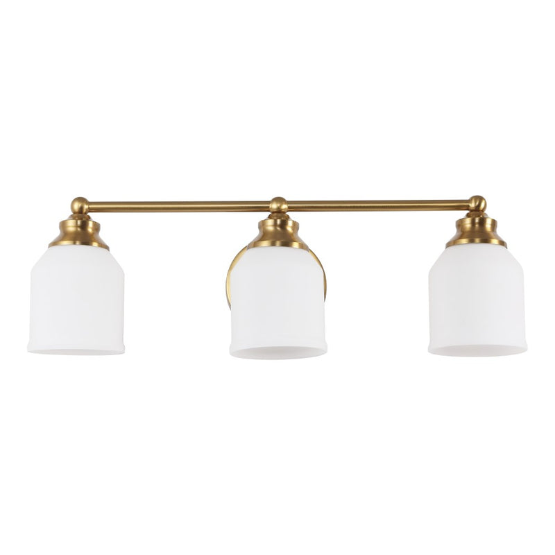 Lydia Iron/Frosted Glass Farmhouse Cottage LED Vanity Light