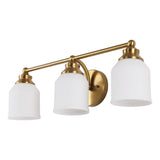 Lydia Iron/Frosted Glass Farmhouse Cottage LED Vanity Light