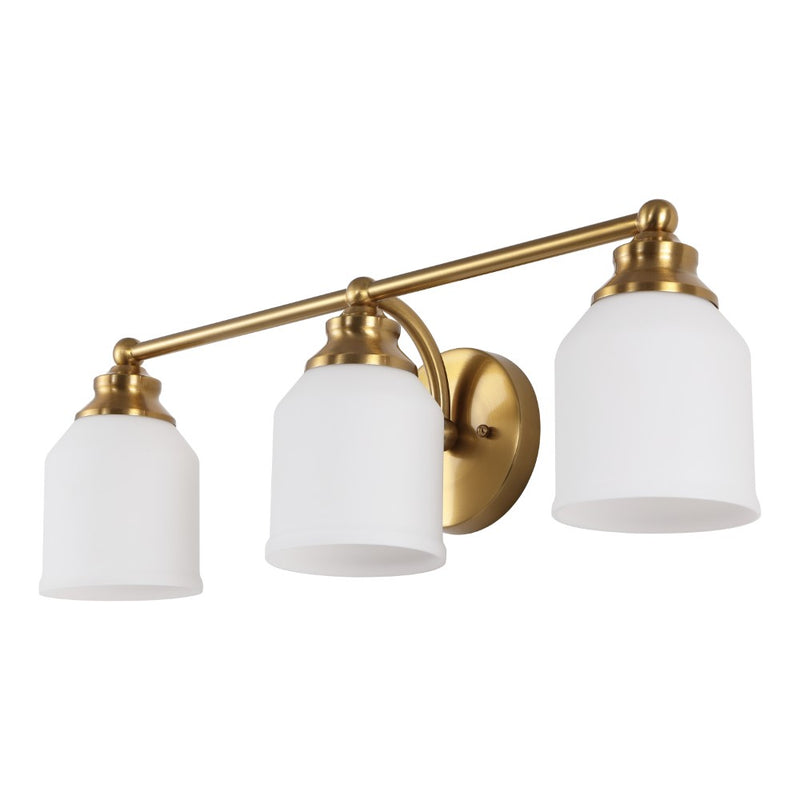 Lydia Iron/Frosted Glass Farmhouse Cottage LED Vanity Light
