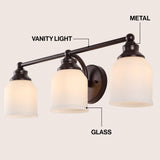 Lydia Iron/Frosted Glass Farmhouse Cottage LED Vanity Light