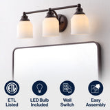 Lydia Iron/Frosted Glass Farmhouse Cottage LED Vanity Light