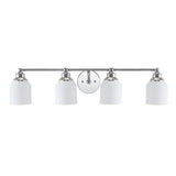 Lydia Iron/Frosted Glass Farmhouse Cottage LED Vanity Light