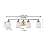 Lydia Iron/Frosted Glass Farmhouse Cottage LED Vanity Light