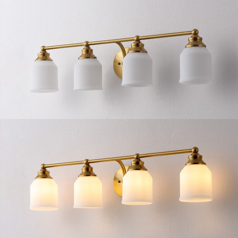 Lydia Iron/Frosted Glass Farmhouse Cottage LED Vanity Light