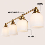 Lydia Iron/Frosted Glass Farmhouse Cottage LED Vanity Light