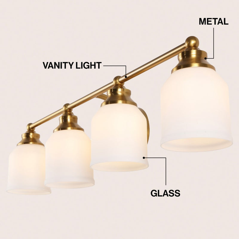 Lydia Iron/Frosted Glass Farmhouse Cottage LED Vanity Light