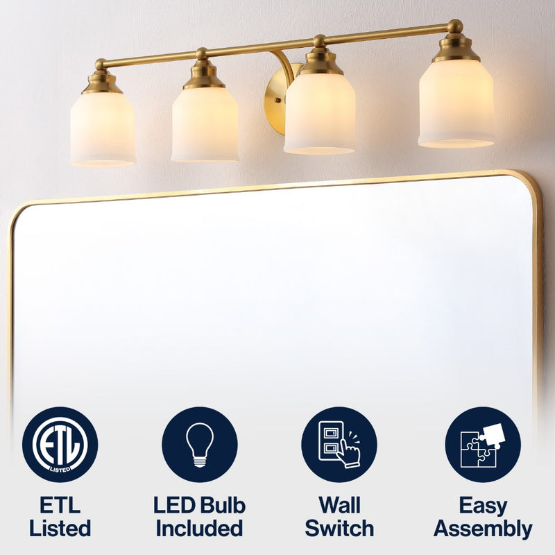 Lydia Iron/Frosted Glass Farmhouse Cottage LED Vanity Light