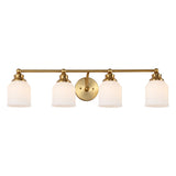 Lydia Iron/Frosted Glass Farmhouse Cottage LED Vanity Light