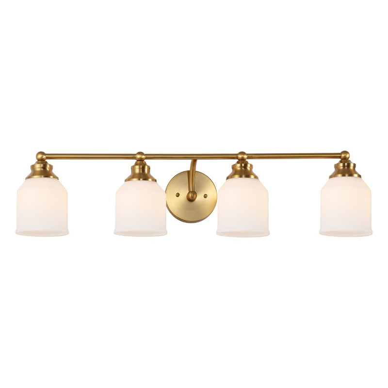 Lydia Iron/Frosted Glass Farmhouse Cottage LED Vanity Light
