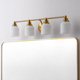 Lydia Iron/Frosted Glass Farmhouse Cottage LED Vanity Light