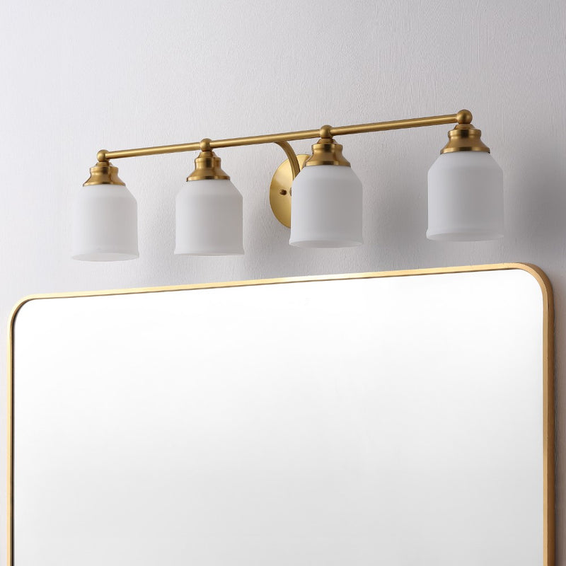 Lydia Iron/Frosted Glass Farmhouse Cottage LED Vanity Light