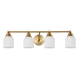 Lydia Iron/Frosted Glass Farmhouse Cottage LED Vanity Light