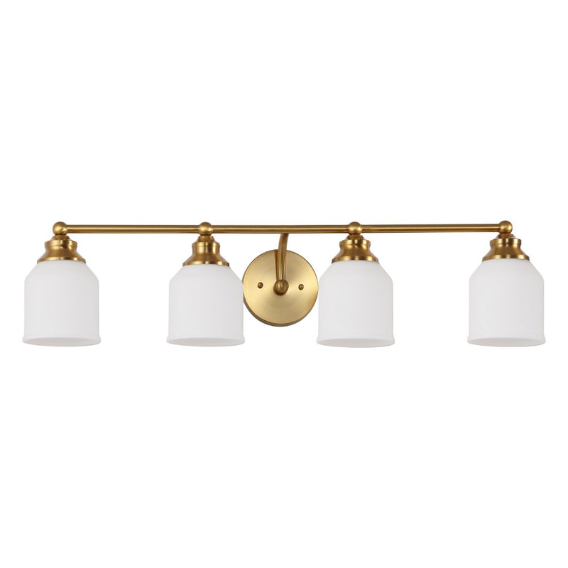 Lydia Iron/Frosted Glass Farmhouse Cottage LED Vanity Light