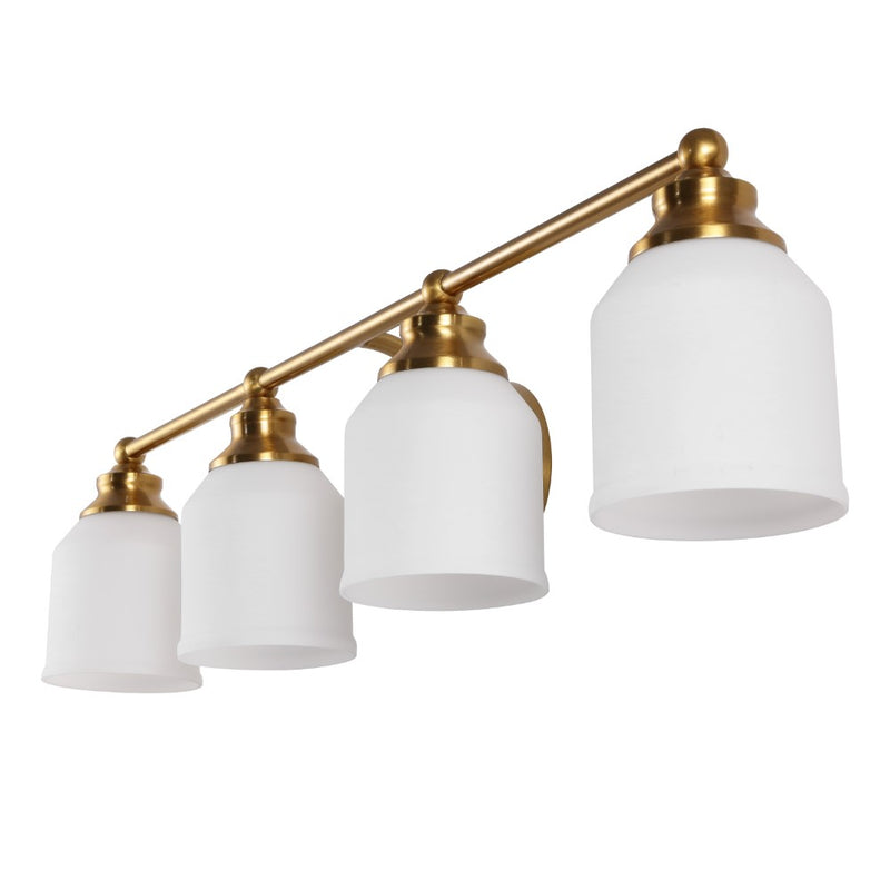 Lydia Iron/Frosted Glass Farmhouse Cottage LED Vanity Light