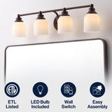 Lydia Iron/Frosted Glass Farmhouse Cottage LED Vanity Light
