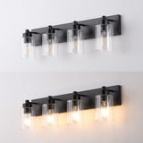 Irving Seeded Glass/Iron Modern Contemporary LED Vanity Light