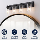 Irving Seeded Glass/Iron Modern Contemporary LED Vanity Light