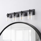 Irving Seeded Glass/Iron Modern Contemporary LED Vanity Light
