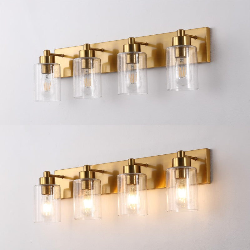 Irving Seeded Glass/Iron Modern Contemporary LED Vanity Light