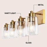 Irving Seeded Glass/Iron Modern Contemporary LED Vanity Light