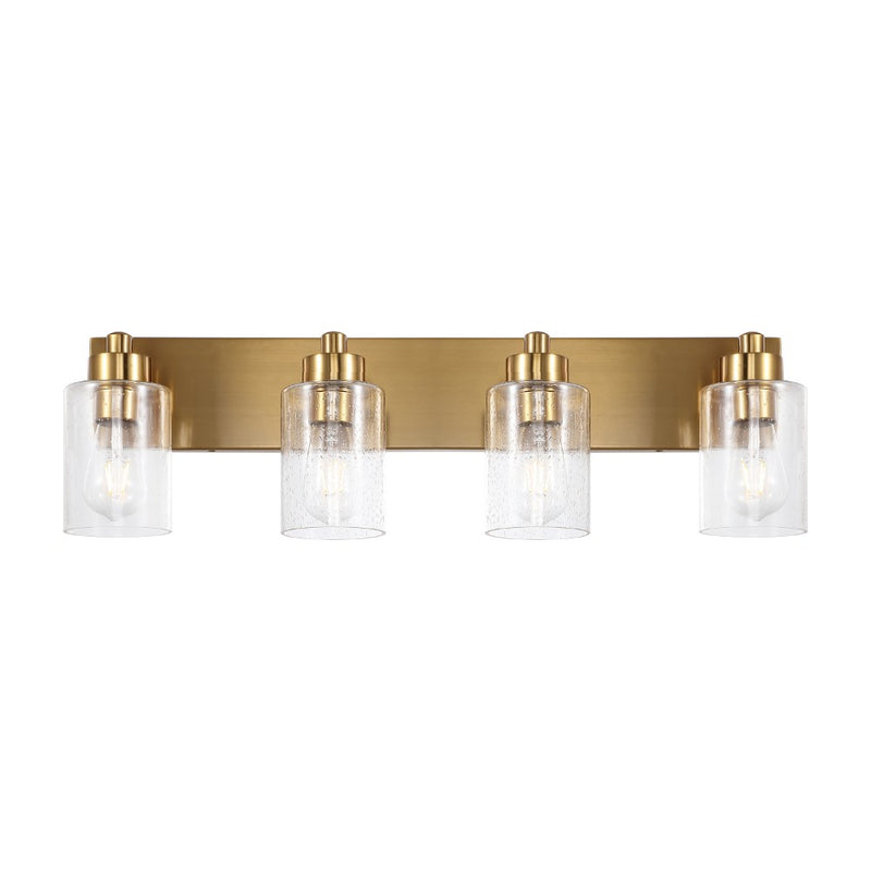 Irving Seeded Glass/Iron Modern Contemporary LED Vanity Light