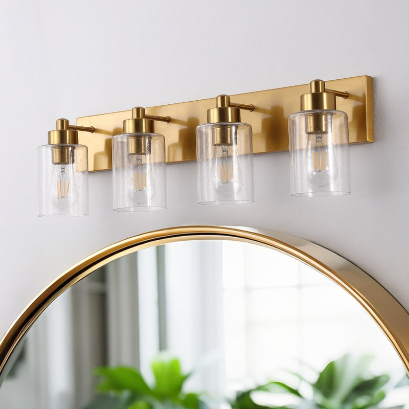 Irving Seeded Glass/Iron Modern Contemporary LED Vanity Light