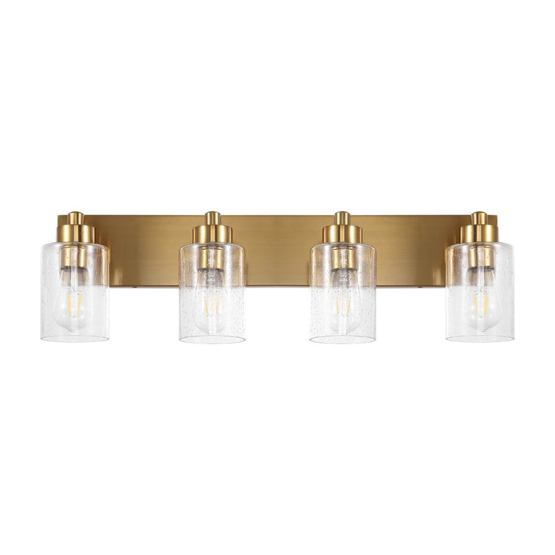 Irving Seeded Glass/Iron Modern Contemporary LED Vanity Light