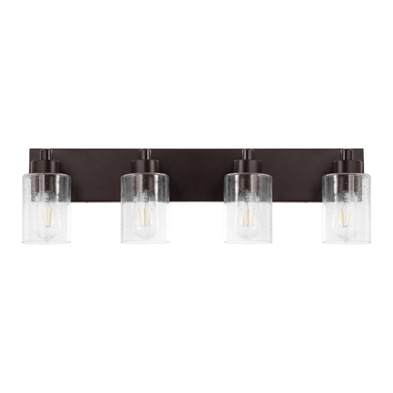 Irving Seeded Glass/Iron Modern Contemporary LED Vanity Light