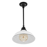 Jasper 12.25" Farmhouse Industrial Indoor/Outdoor Iron LED Pendant