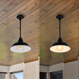Jasper 12.25" Farmhouse Industrial Indoor/Outdoor Iron LED Pendant
