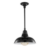 Jasper 12.25" Farmhouse Industrial Indoor/Outdoor Iron LED Pendant