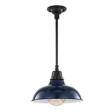 Jasper 12.25" Farmhouse Industrial Indoor/Outdoor Iron LED Pendant