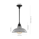 Jasper 12.25" Farmhouse Industrial Indoor/Outdoor Iron LED Pendant