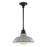 Jasper 12.25" Farmhouse Industrial Indoor/Outdoor Iron LED Pendant