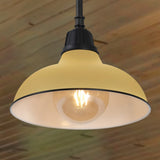 Jasper 12.25" Farmhouse Industrial Indoor/Outdoor Iron LED Pendant