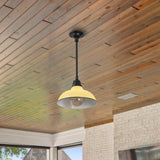 Jasper 12.25" Farmhouse Industrial Indoor/Outdoor Iron LED Pendant