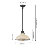 Jasper 12.25" Farmhouse Industrial Indoor/Outdoor Iron LED Pendant
