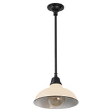 Jasper 12.25" Farmhouse Industrial Indoor/Outdoor Iron LED Pendant