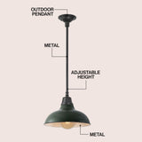 Jasper 12.25" Farmhouse Industrial Indoor/Outdoor Iron LED Pendant
