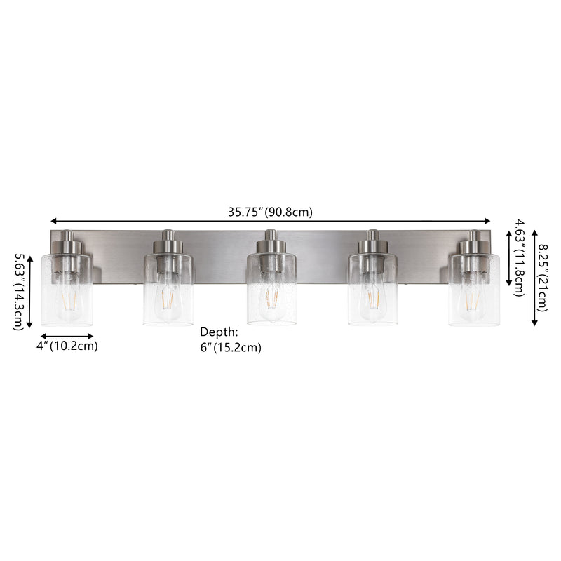 Irving Seeded Glass/Iron Modern Contemporary LED Vanity Light