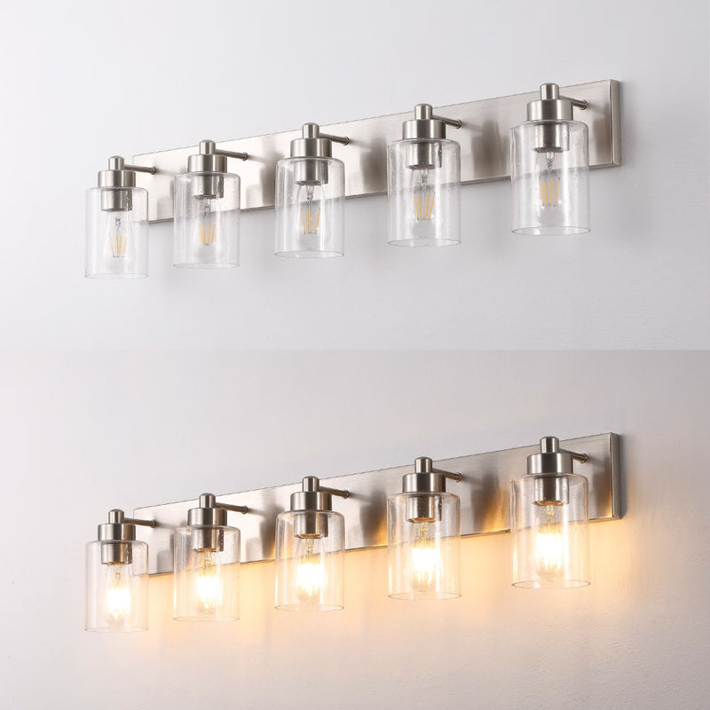 Irving Seeded Glass/Iron Modern Contemporary LED Vanity Light