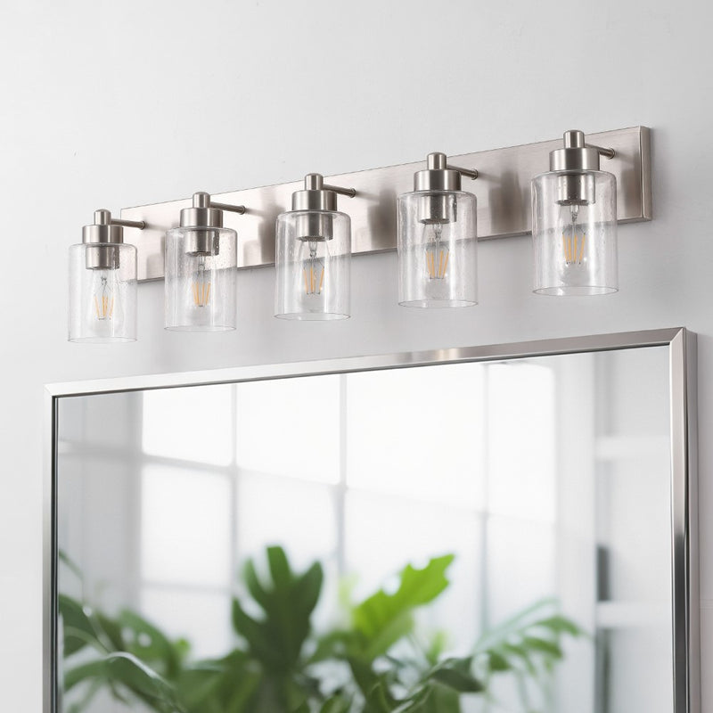 Irving Seeded Glass/Iron Modern Contemporary LED Vanity Light