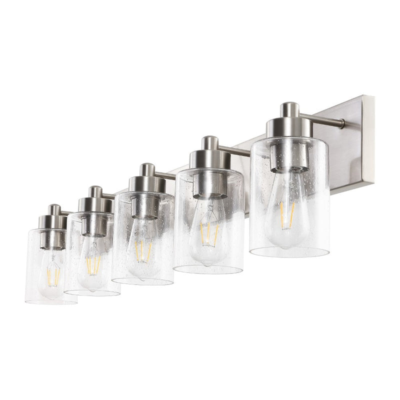 Irving Seeded Glass/Iron Modern Contemporary LED Vanity Light
