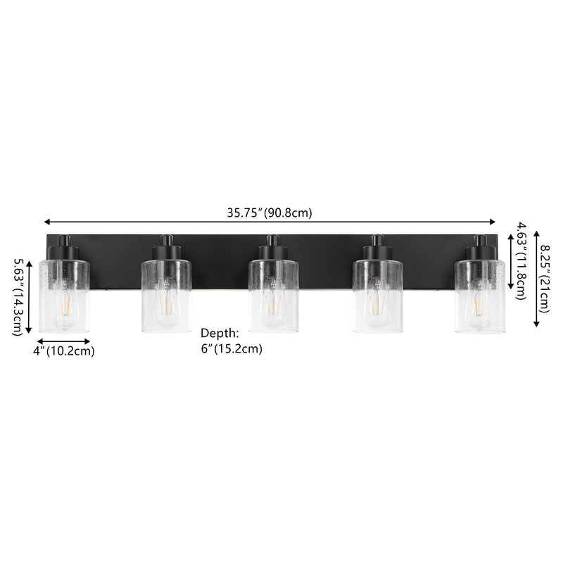 Irving Seeded Glass/Iron Modern Contemporary LED Vanity Light