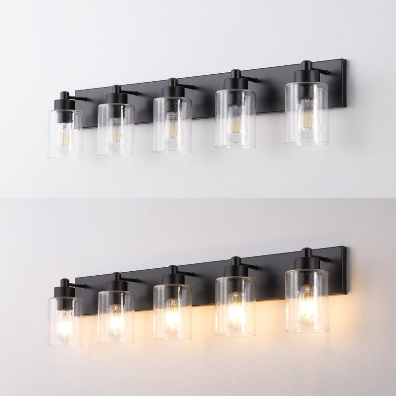 Irving Seeded Glass/Iron Modern Contemporary LED Vanity Light